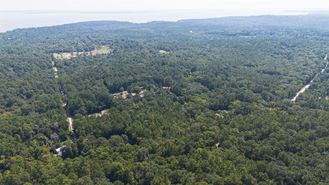 1031 Morris Creek Road, Coldspring, TX 77331