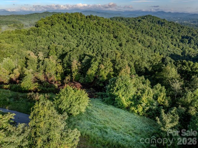 00 Skydance Trail 15, Hendersonville, NC 28792