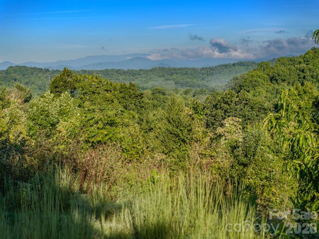 00 Skydance Trail 15, Hendersonville, NC 28792
