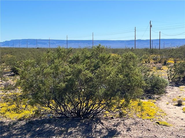 4233 W Mayan Drive, Golden Valley, AZ 86413