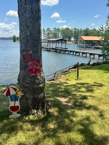 22019 Brierwood Drive, Frankston, TX 75763