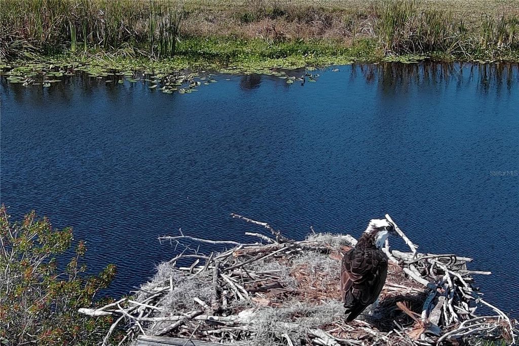 Image 34 of property listing at 37 SHELL ROAD, Okeechobee, FL 34974