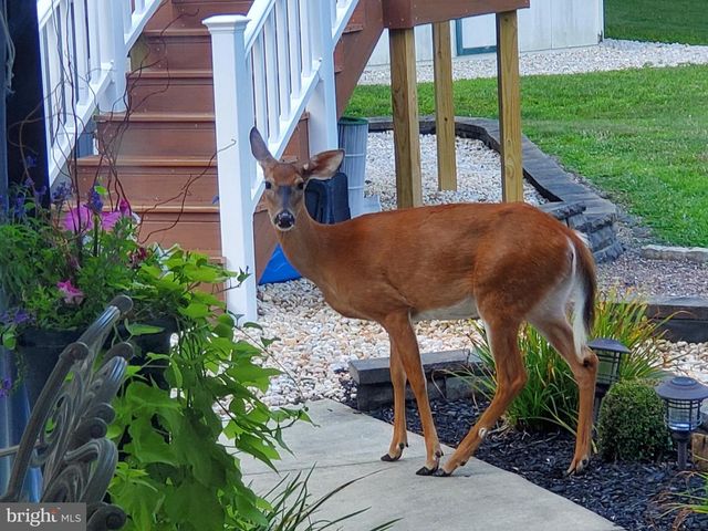 208 FOXCROFT LN, Robesonia, PA 19551