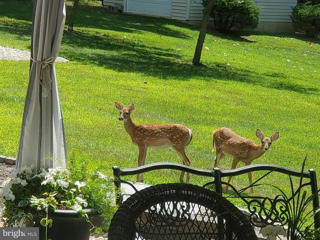 208 FOXCROFT LN, Robesonia, PA 19551