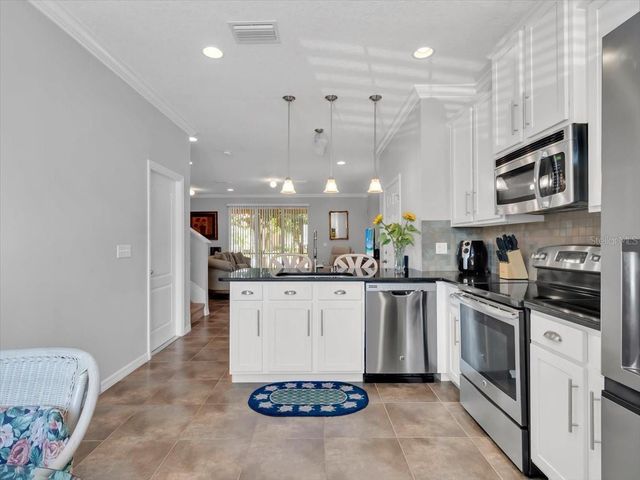 13901 RIVER WILLOW PLACE, Tampa, FL 33637