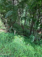 Lot 9 Laurelwood Lane, Mountain City, TN 37683