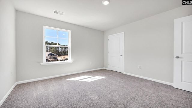 463 Leathertree Lane, Blythewood, SC 29016