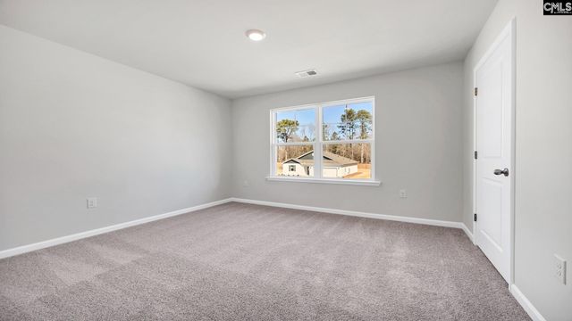 463 Leathertree Lane, Blythewood, SC 29016