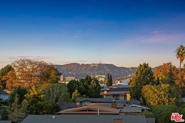 307 N Wilton Place, Los Angeles, CA 90004