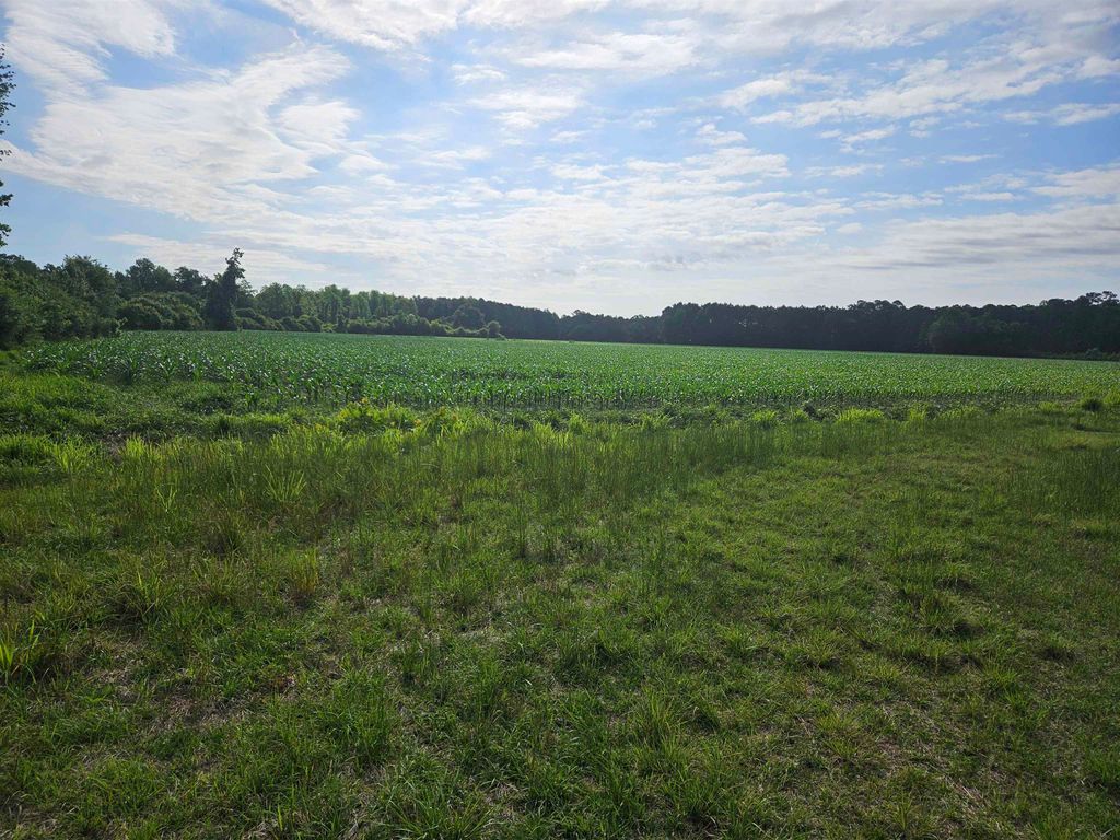 40ac Willoughby Rd., Nichols, SC 29581 — exterior