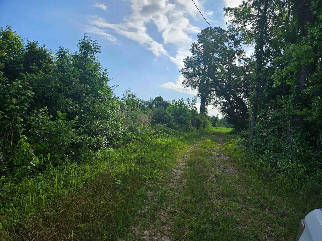 40ac Willoughby Rd., Nichols, SC 29581 — photo 2