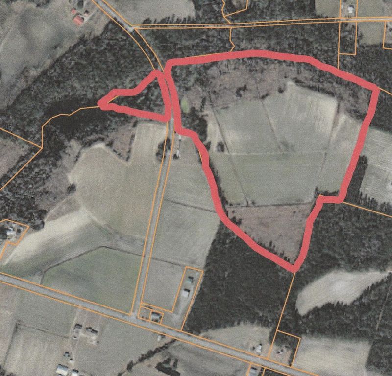 40ac Willoughby Rd., Nichols, SC 29581 — photo 4