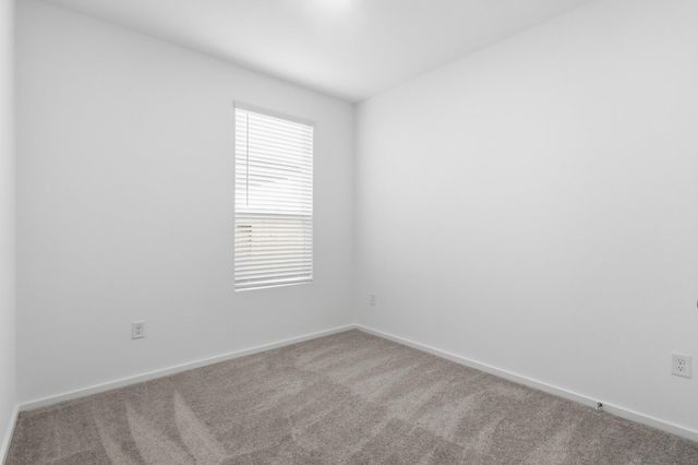 26299 Arrowleaf Drive, Magnolia, TX 77355