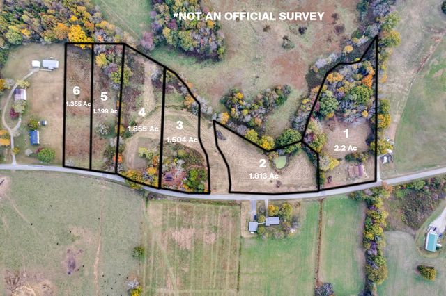 4200 Will Thompson Rd, Walling, TN 38587