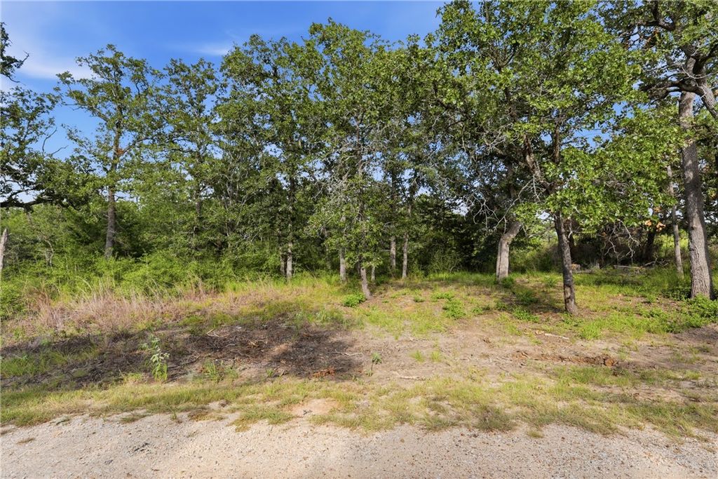 00 Bengals Bend, Somerville, TX 77879 — photo 3