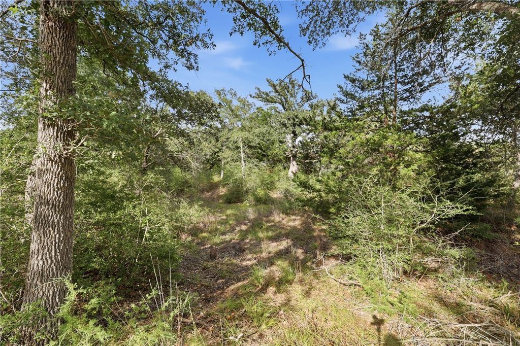 00 Bengals Bend, Somerville, TX 77879 — photo 5