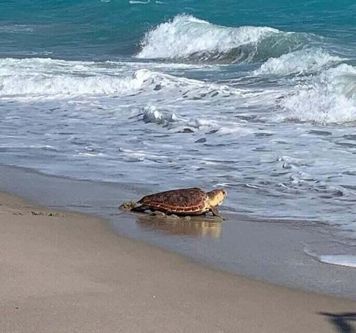 404 Mainsail Circle, Jupiter, FL 33477