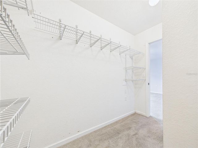 16310 FAIRFORD PALMS COURT, Tampa, FL 33647
