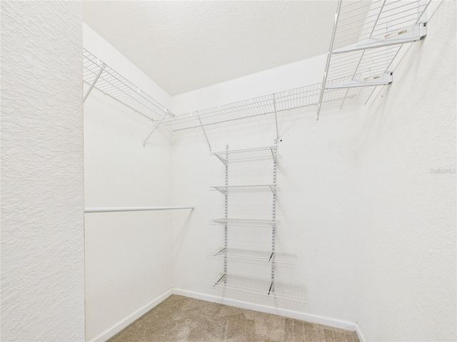 16310 FAIRFORD PALMS COURT, Tampa, FL 33647