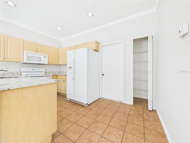 16310 FAIRFORD PALMS COURT, Tampa, FL 33647