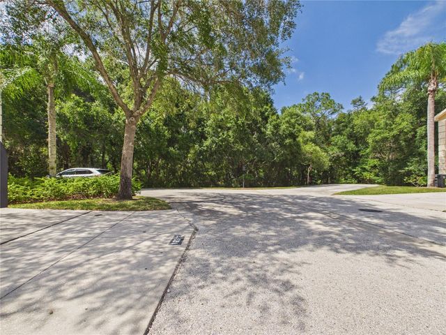 16310 FAIRFORD PALMS COURT, Tampa, FL 33647