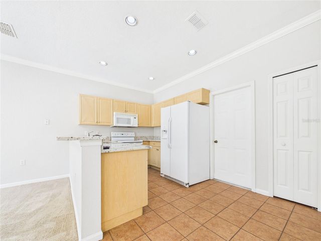 16310 FAIRFORD PALMS COURT, Tampa, FL 33647