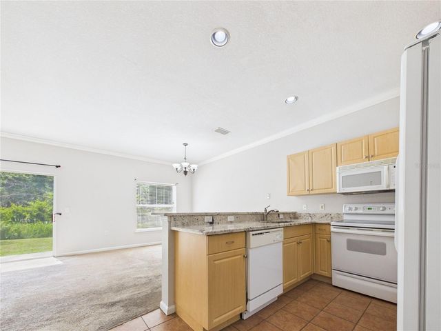 16310 FAIRFORD PALMS COURT, Tampa, FL 33647