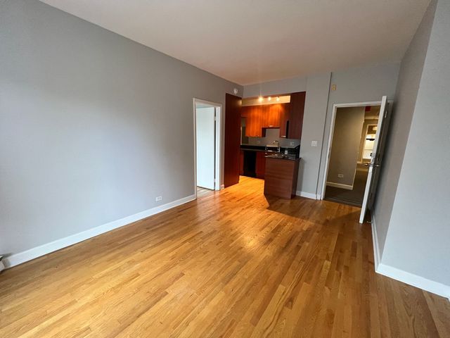 732 W Bittersweet Place 408, Chicago, IL 60613