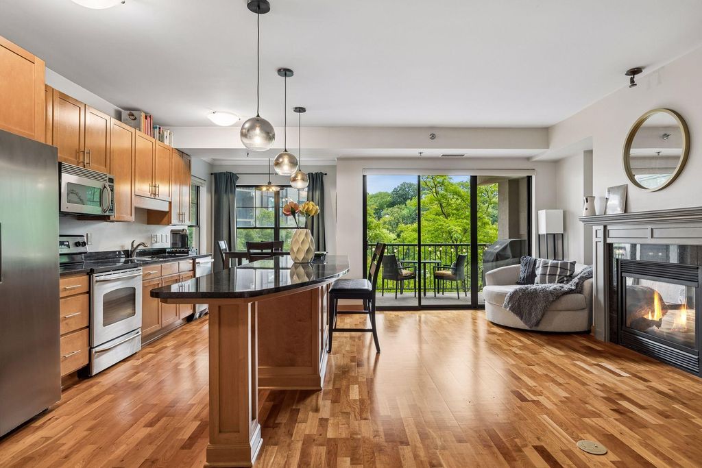 317 Groveland Avenue 311, Minneapolis, MN 55403 — photo 2