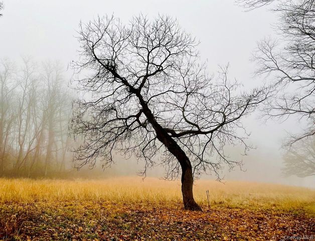 5 Wood Court 2nd Floor, Tarrytown, NY 10591