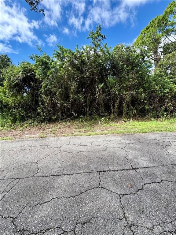321 Jackson AVE, Lehigh Acres, FL 33936