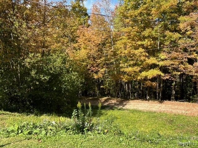 2761 Friendship Lane, Franklinville, NY 14737