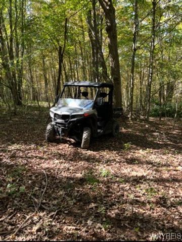 2761 Friendship Lane, Franklinville, NY 14737