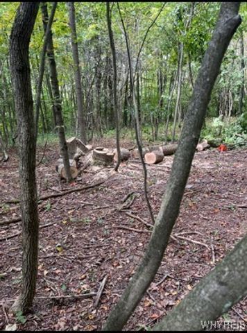 2761 Friendship Lane, Franklinville, NY 14737