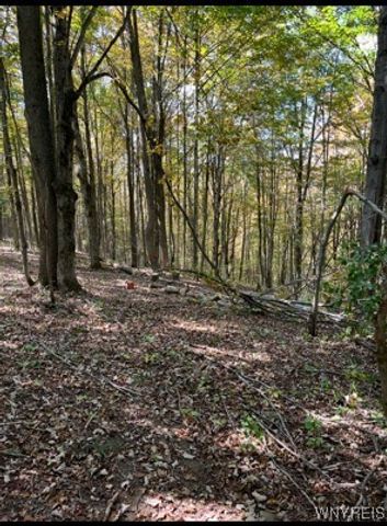 2761 Friendship Lane, Franklinville, NY 14737