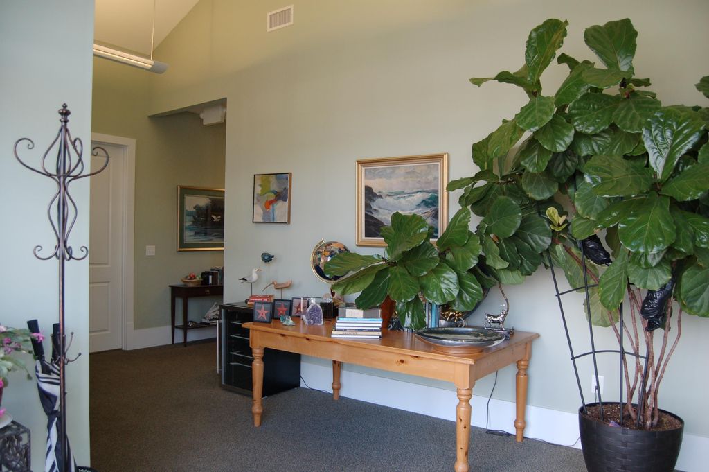 3955 Highway 17 Ste C, Murrells Inlet, SC 29576 — photo 5