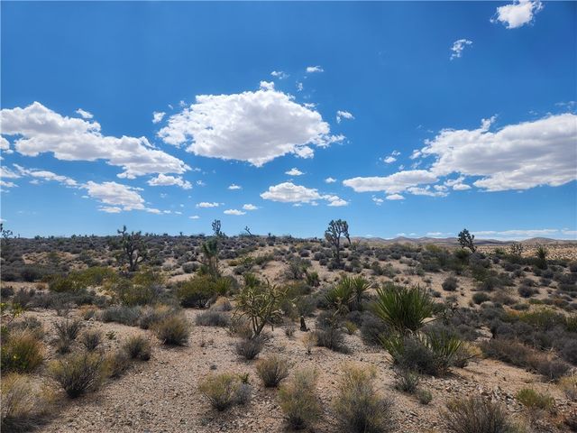 27445 N Driftwood Drive, Meadview, AZ 86444