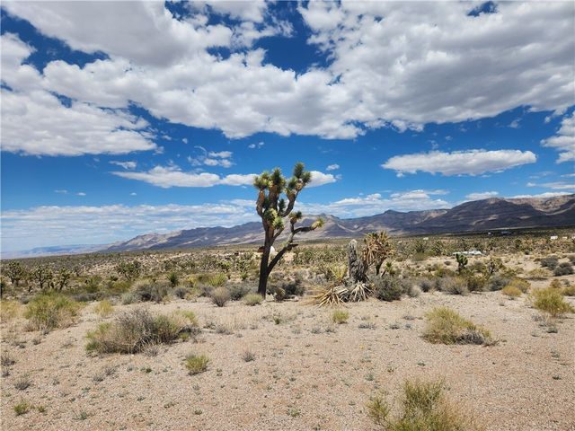 27445 N Driftwood Drive, Meadview, AZ 86444