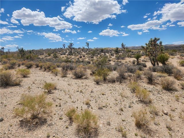 27445 N Driftwood Drive, Meadview, AZ 86444