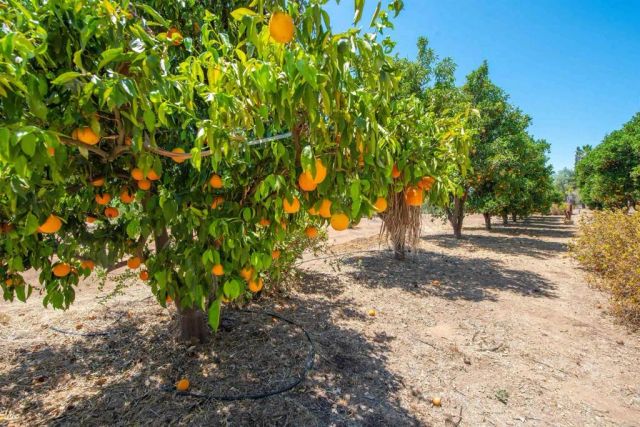 15950 Mactan Ln, Valley Center, CA 92082