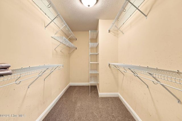 3298 Bessemer Drive, Greenville, NC 27858