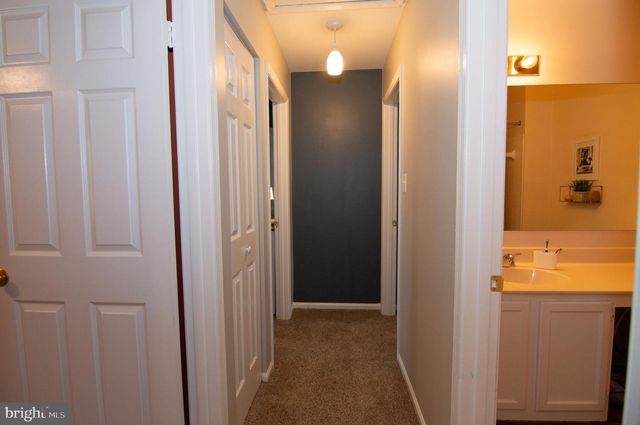 8230 LA FAYE CT, Alexandria, VA 22306
