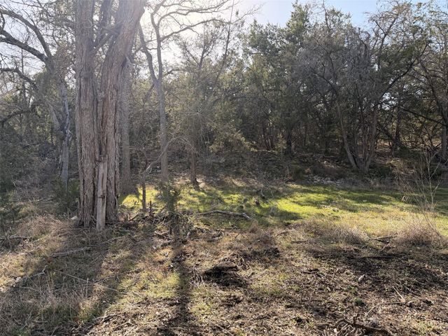 244 Buckskin PASS, Driftwood, TX 78619