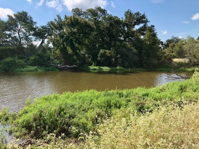 TBD COUNTY ROAD 120, Caldwell, TX 77836