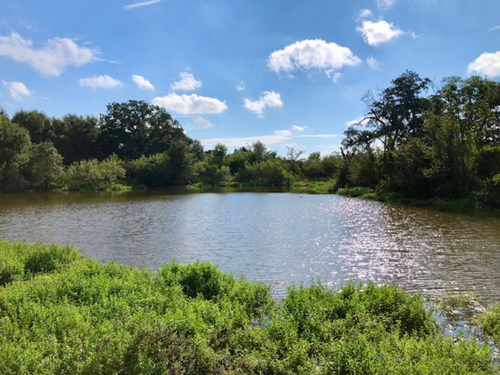 TBD COUNTY ROAD 120, Caldwell, TX 77836 — photo 2