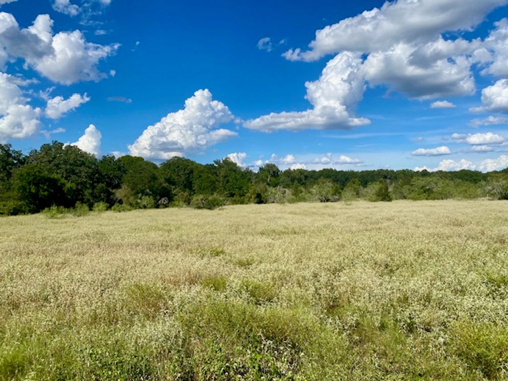TBD COUNTY ROAD 120, Caldwell, TX 77836 — photo 3