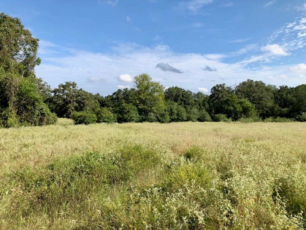 TBD COUNTY ROAD 120, Caldwell, TX 77836 — photo 4