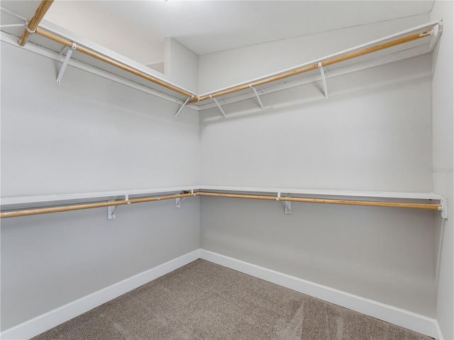 414 STILL MEADOWS CIRCLE E, Palm Harbor, FL 34683