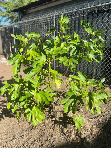 128 TUOLUMNE ST, Vallejo, CA 94590