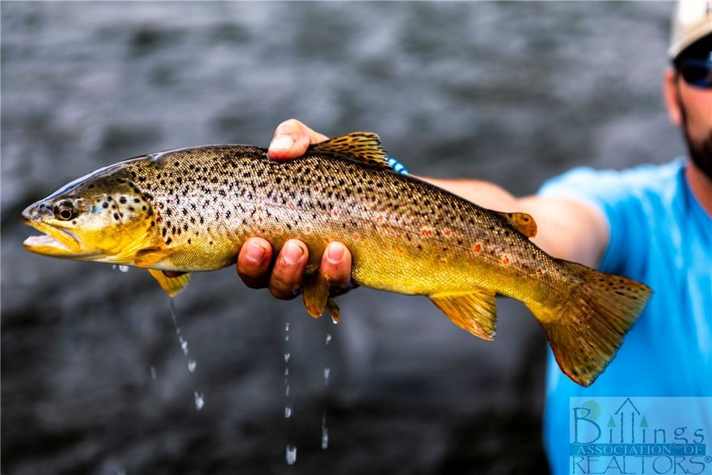 61 1st STREET E, Fort Smith, MT 59035 photo 28